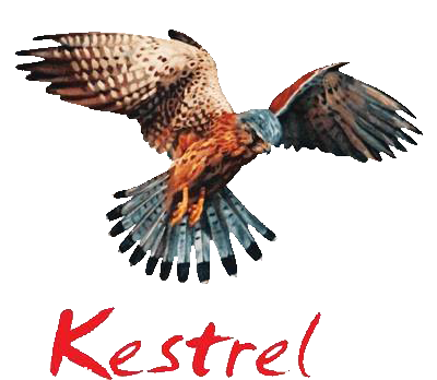 Krestel updated PNG
